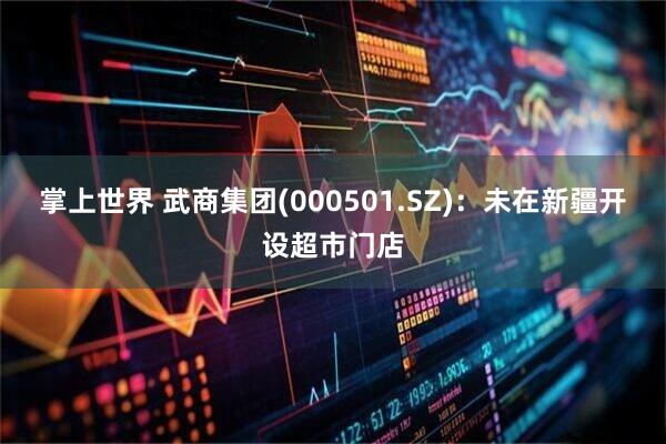 掌上世界 武商集团(000501.SZ)：未在新疆开设超市门店