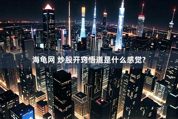 海龟网 炒股开窍悟道是什么感觉?